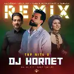 دانلود آهنگ Top Hits 2 از سهیل مهرزادگان